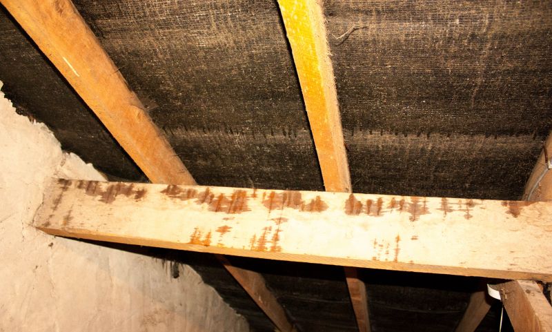 House Restoration in Denver County, CO